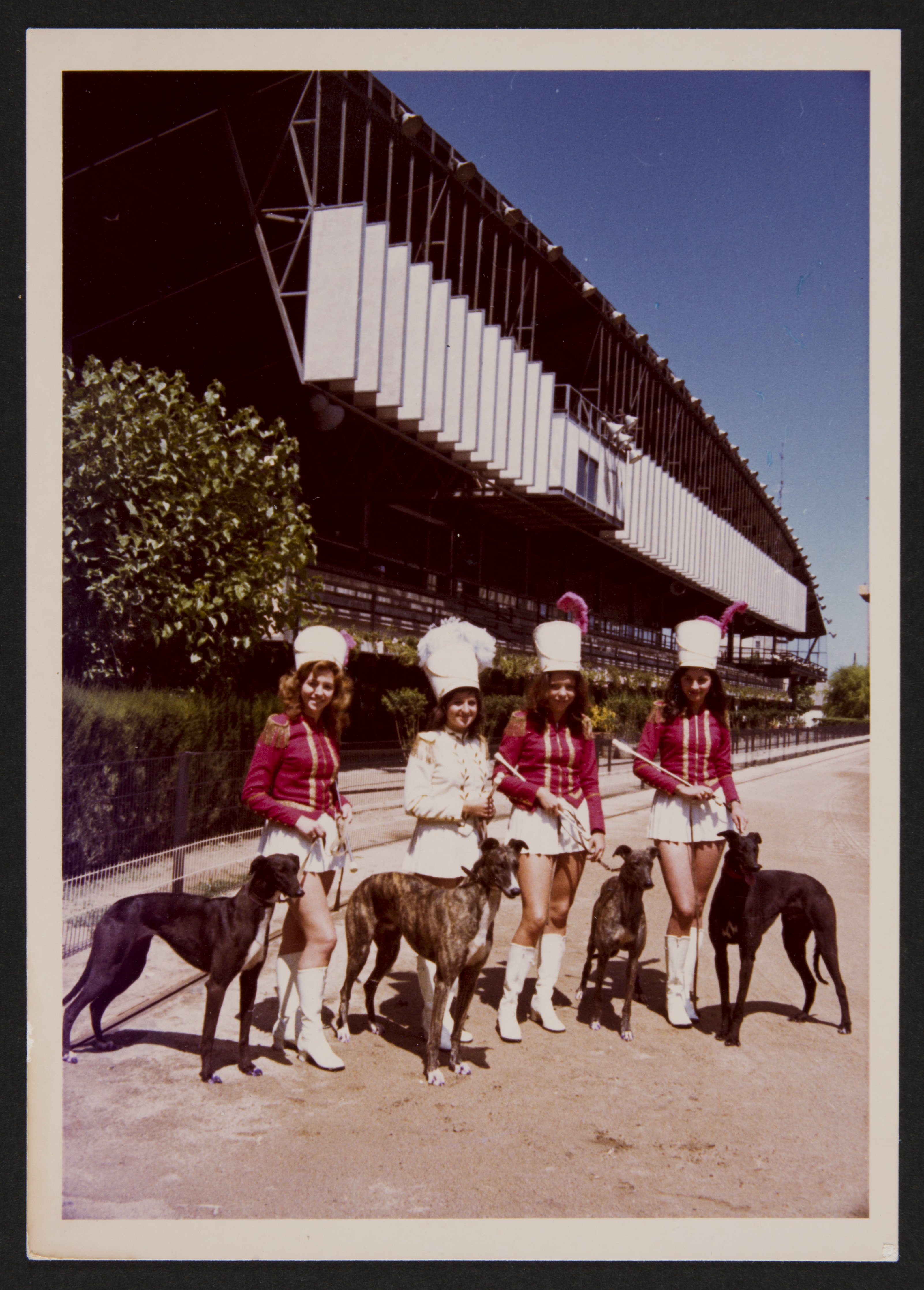 Imatge pels mitjans: Les actuacions de les majorettes