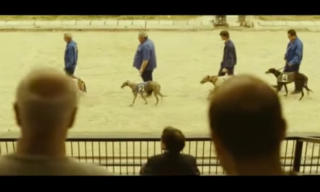 Imagen para los medios: Petit Indi (2009, Marc Recha)