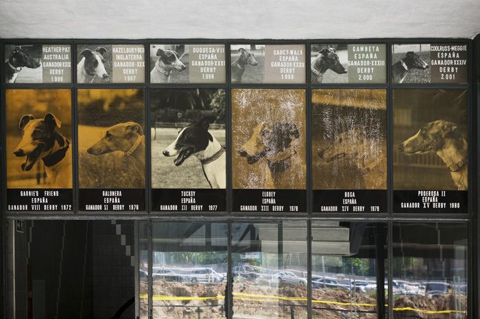 Media picture: Canodróm Meridiana