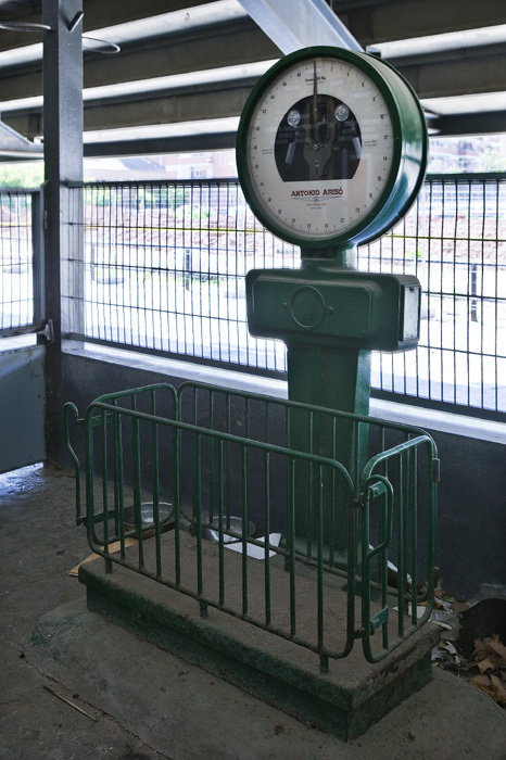 Imatge pels mitjans: Balança amb la que pesaben als llebrers al canodrom meridiana 