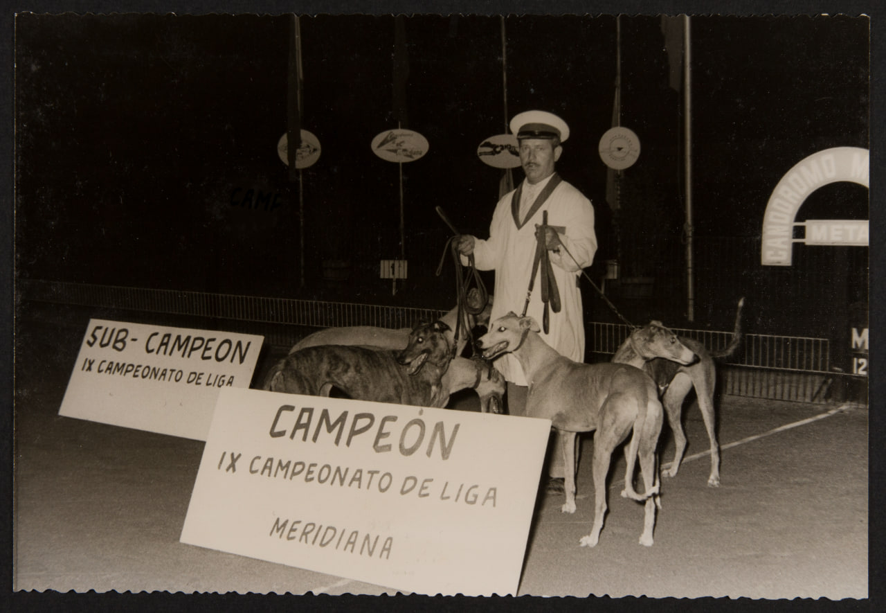 Imagen para los medios: Els passejadors   