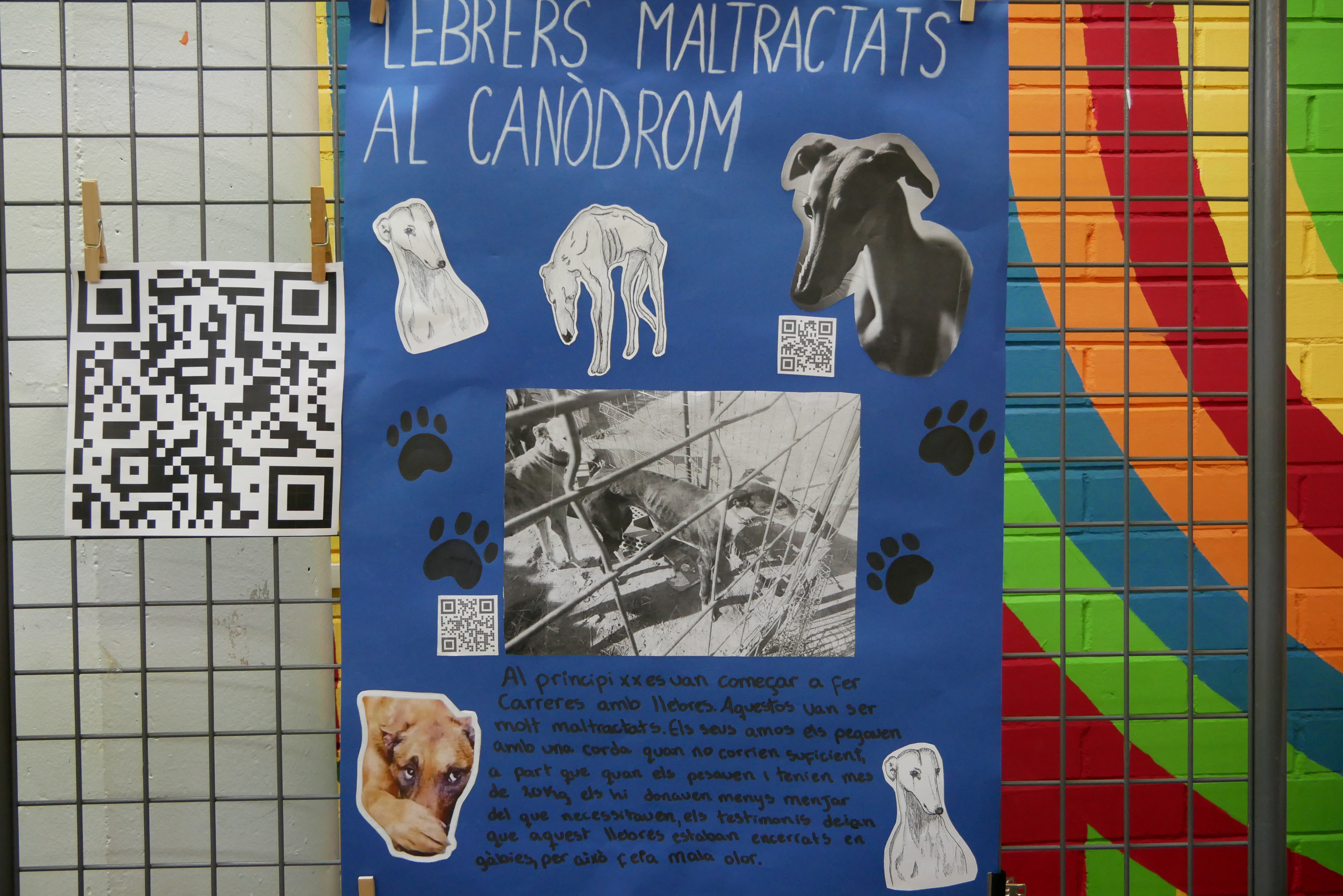 Imagen para los medios: Llebrers Maltractats al Canòdrom