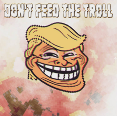 Don&#39;t feed the troll