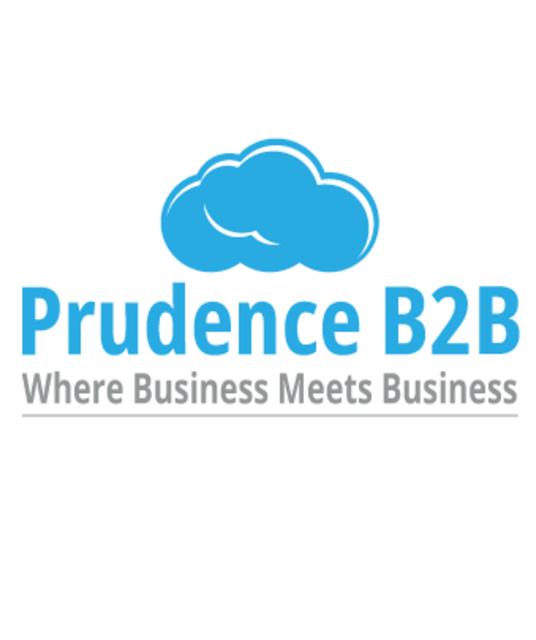 avatar Prudence B2B
