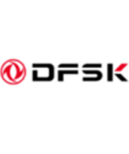 avatar DFSK Motors Dubai
